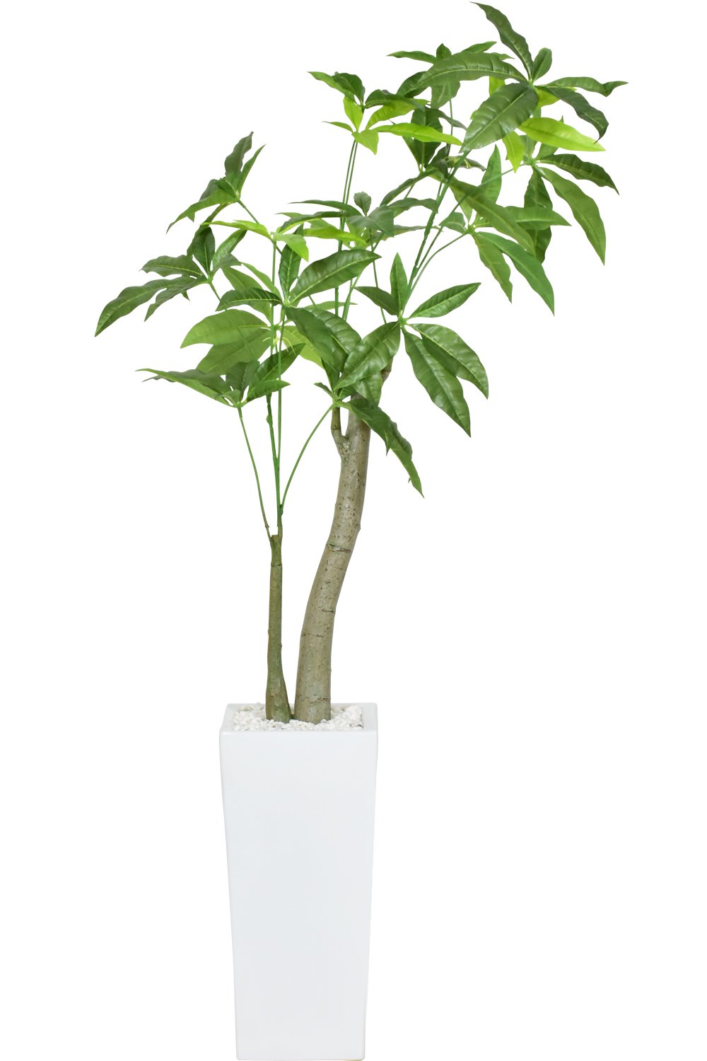 観葉植物　パキラ　DORIS 高さ約107cm Amazon｜DORIS ドリス 人工高さ約107cm 簡単世話いらず 水やり不要